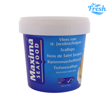 Fresh Scallops 10-20