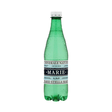 Mineral Water Sparkling MSM 1x 18x0,5L