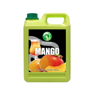mango_juice_syrup__pe__6x2_5kg