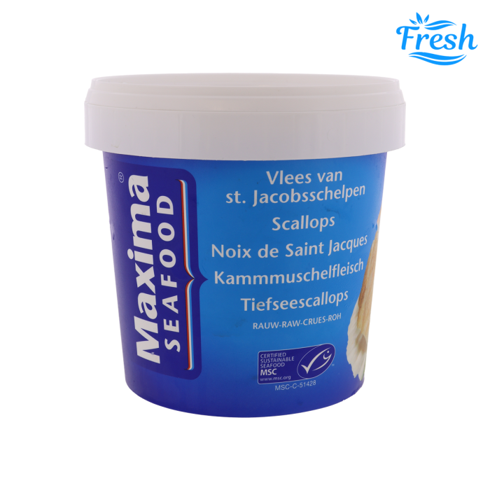 Fresh Scallops 10-20