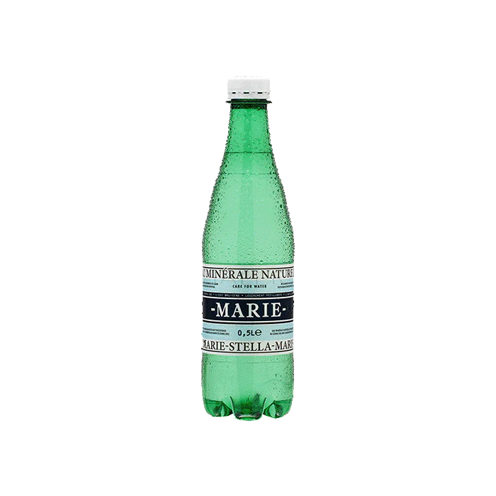 Mineral Water Sparkling MSM 1x 18x0,5L