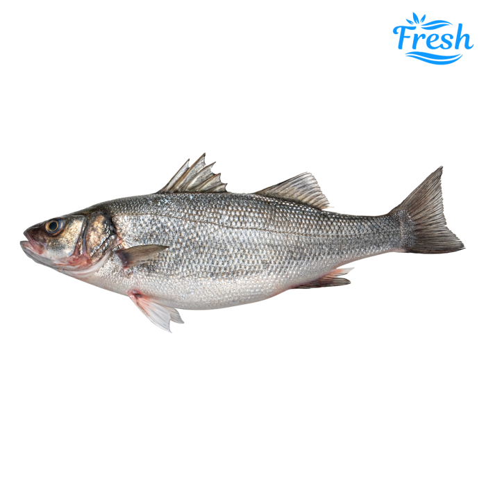 Seabass Whole 1000-1500gr