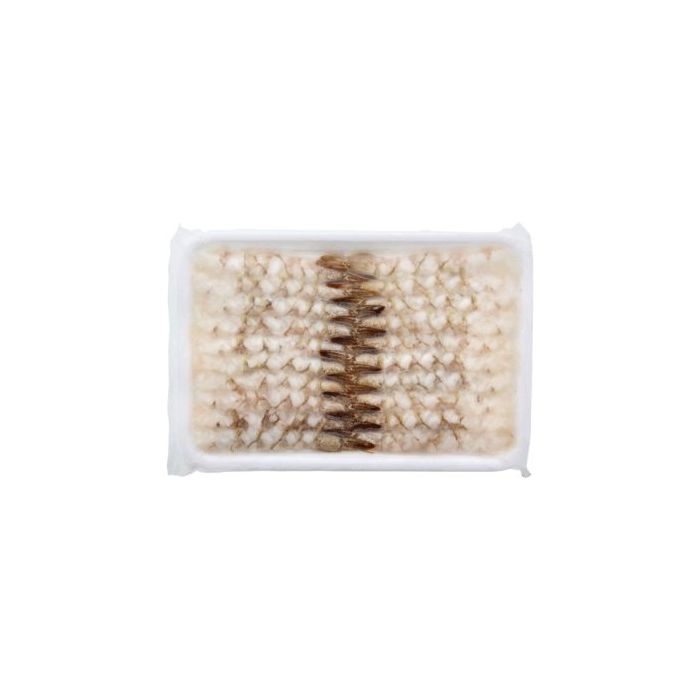 nobashi_ebi_3l_20pcs__okaya__30x280g